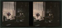 Unknown photographer, set of 9 Stereo Autochromes in original bo